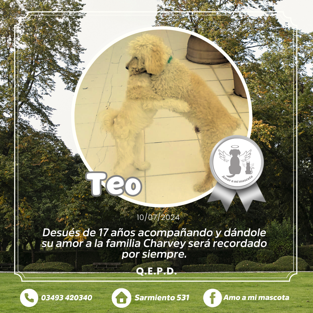 #Teo
