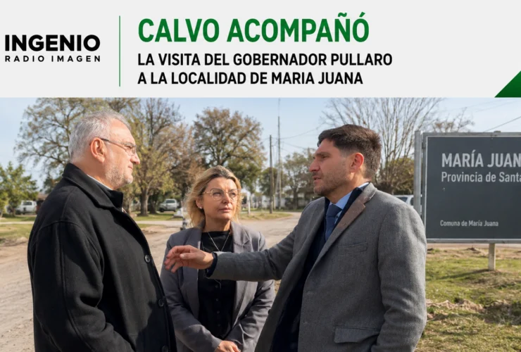 CALVO , PULLARO EN DE MARIA JUANA