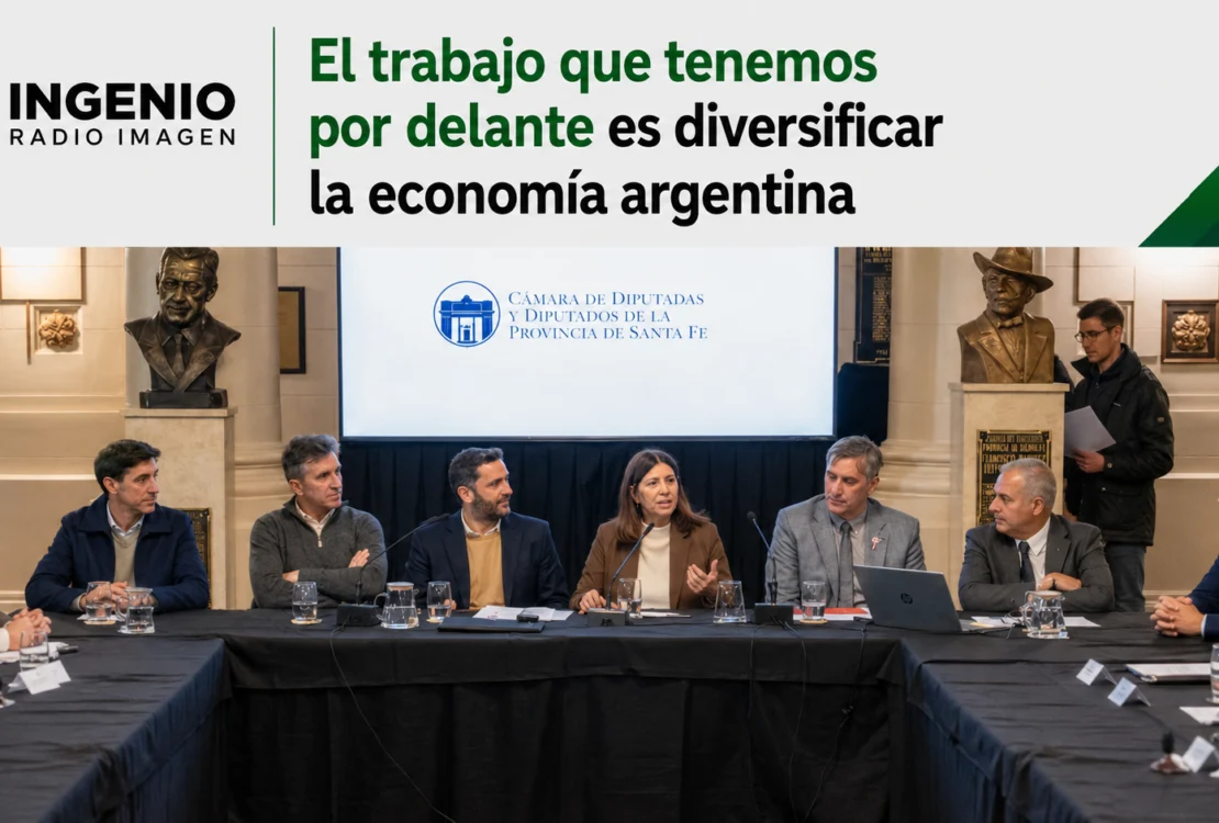 El trabajo que tenemos por delante es diversificar la economía argentina