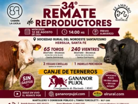 34 remate de reproductores en Hersilia