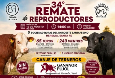 34 remate de reproductores en Hersilia