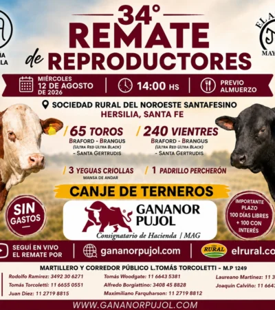 34 remate de reproductores en Hersilia