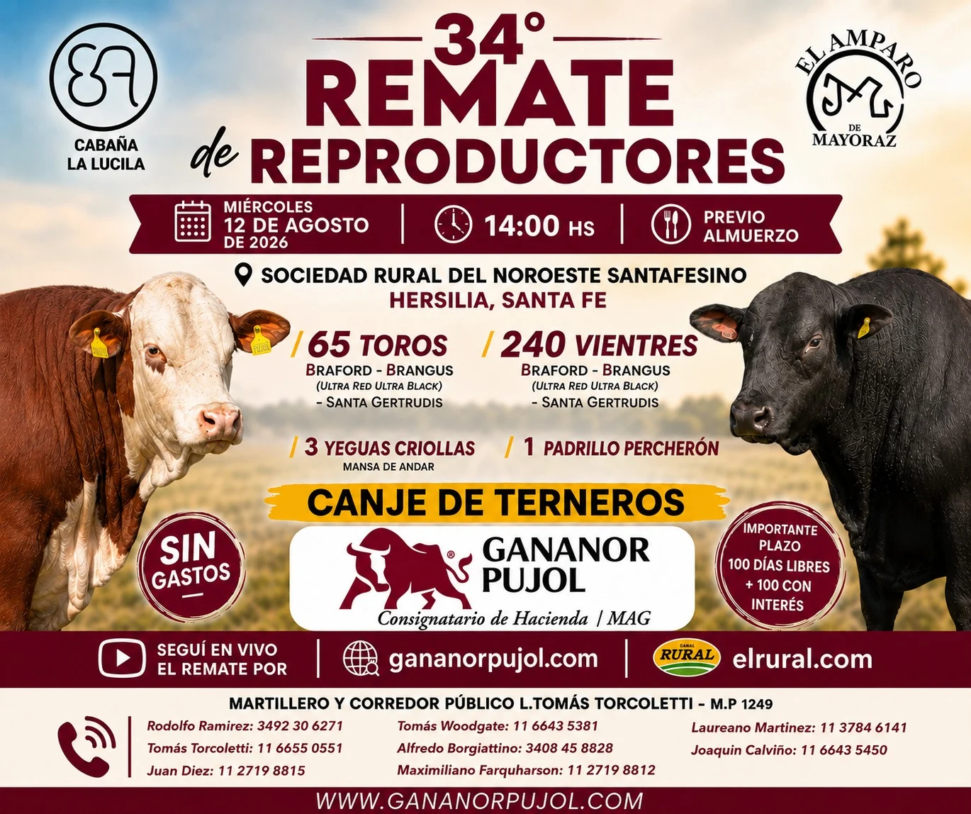 34 remate de reproductores en Hersilia